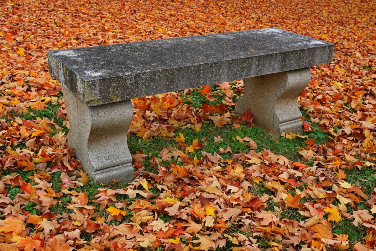 a concrete bench sitting in a field of leaves